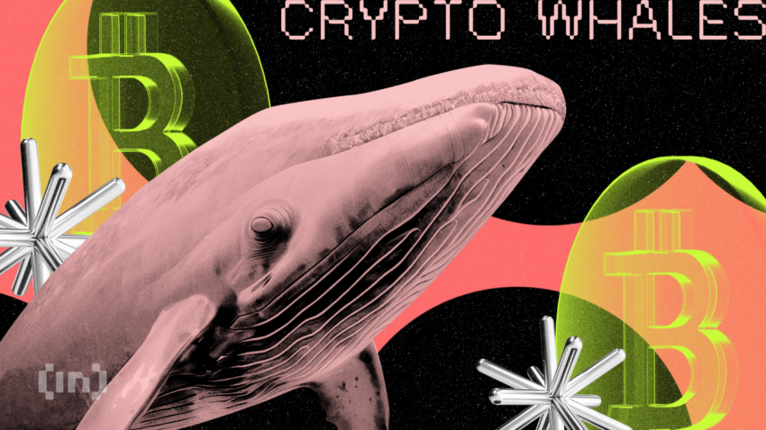 ビットコインのクジラ、1432BTC（52億円超）を約10年ぶりに移動